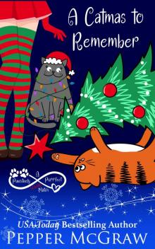 A Catmas to Remember: A Pawsitively Purrfect Holiday Match (Matchmaking Cats of the Goddesses Book 4)