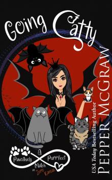 Going Catty: A Pawsitively Purrfect Match in Zero, Kansas (Matchmaking Cats of the Goddesses Book 16)