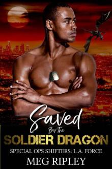 Saved by the Soldier Dragon