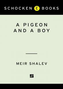 A Pigeon and a Boy