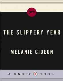 The Slippery Year