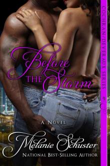 Before the Storm (The Cochran/Deveraux Series Book 9)