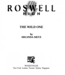 The Wild One