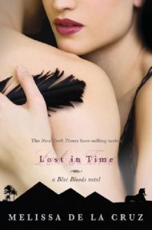Blue Bloods 6 - Lost in Time