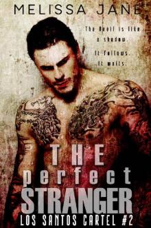 The Perfect Stranger (LOS SANTOS Cartel Story #2) The Perfect Stranger (LOS SANTOS Cartel Story #2)