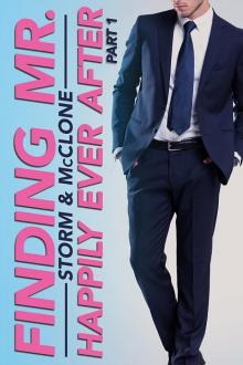 Finding Mr. Happily Ever After_Nathan