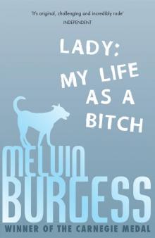 Lady Lady