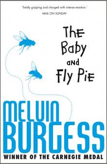 The Baby and Fly Pie The Baby and Fly Pie
