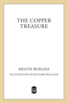 The Copper Treasure The Copper Treasure
