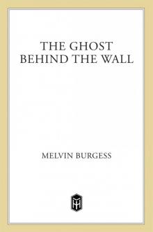 The Ghost Behind the Wall The Ghost Behind the Wall