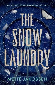 The Snow Laundry