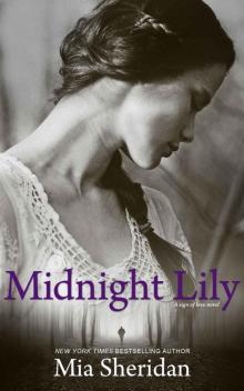 Midnight Lily Midnight Lily