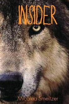 Insider (Outsider Series)