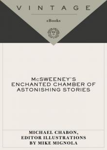 McSweeney's Enchanted Chamber of Astonishing Stories McSweeney's Enchanted Chamber of Astonishing Stories