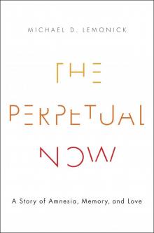 The Perpetual Now
