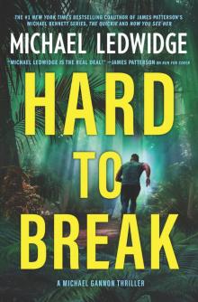 Hard to Break--A Michael Gannon Thriller