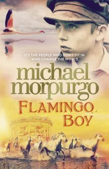 Flamingo Boy Flamingo Boy