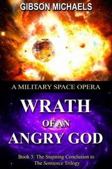 Wrath of an Angry God: A Military Space Opera