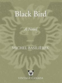 Black Bird