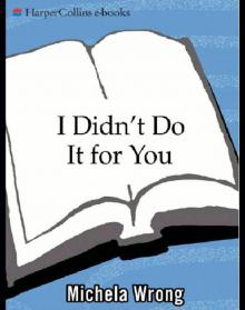 I Didn't Do It for You