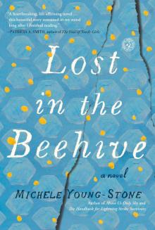 Lost in the Beehive