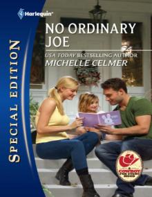 No Ordinary Joe No Ordinary Joe