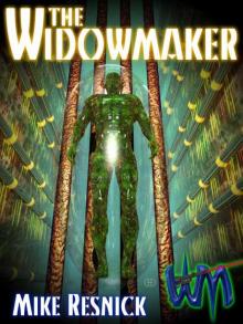The Widowmaker: Volume 1 in the Widowmaker Trilogy