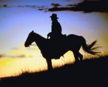 The Cowboy Next door