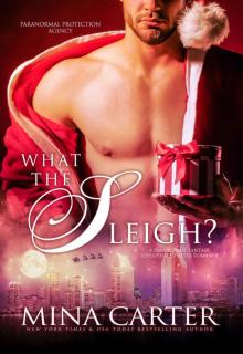 What the Sleigh?