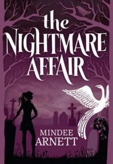 The Nightmare Affair