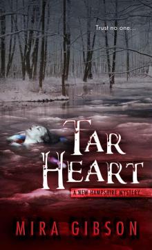 Tar Heart (A New Hampshire Mystery Book 3)