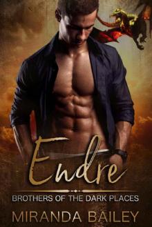 Endre: Brothers Of The Dark Places