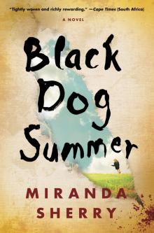 Black Dog Summer