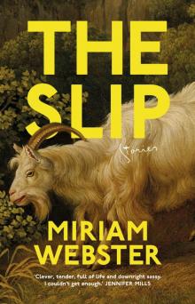 The Slip