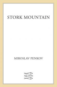 Stork Mountain