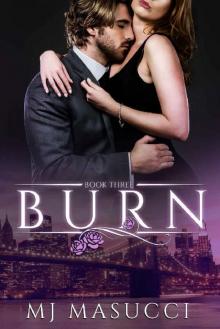 Burn: Book 3 (The Heat Series)