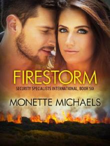 Firestorm (Security Specialists International Book 6) Firestorm (Security Specialists International Book 6)