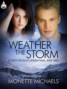 Weather the Storm (Security Specialists International #3) Weather the Storm (Security Specialists International #3)