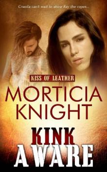 Kink Aware (Kiss of Leather Book 9) Kink Aware (Kiss of Leather Book 9)