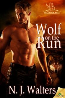 Wolf on the Run: Salvation Pack, Book 3