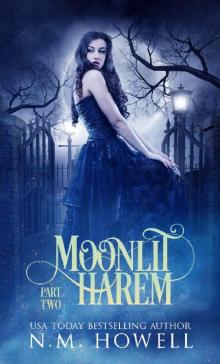 Moonlit Harem: Part 2