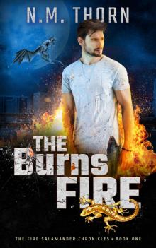 The Burns Fire