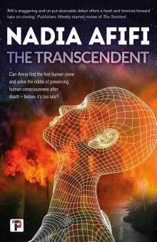 The Transcendent