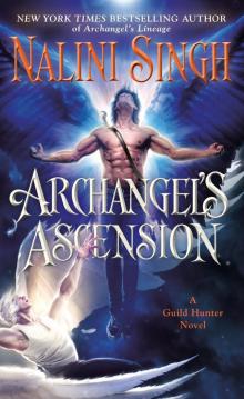 Archangel's Ascension Archangel's Ascension