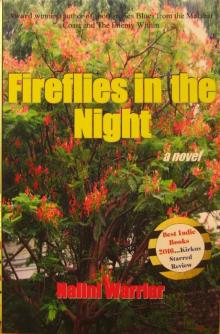 Fireflies in the Night