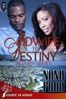 Midwife to Destiny Midwife to Destiny