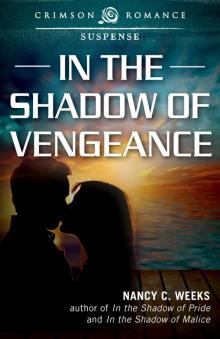 In the Shadow of Vengeance In the Shadow of Vengeance