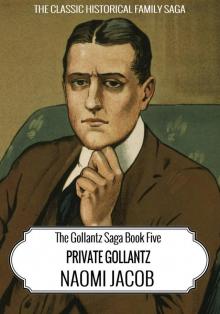 Private Gollantz (The Gollantz Family Saga Book 5)