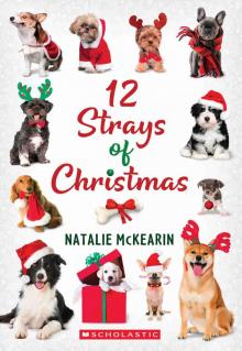 12 Strays of Christmas 12 Strays of Christmas
