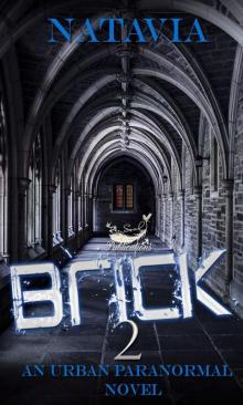 Brick 2
